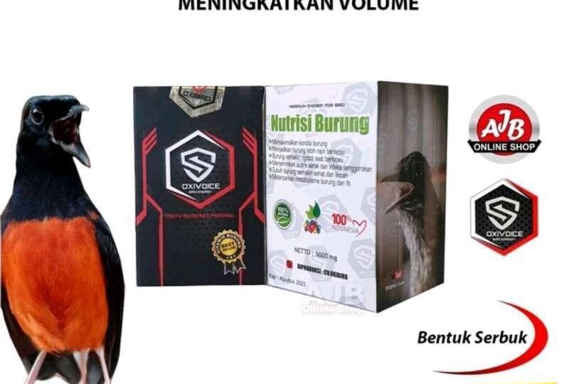 Agen Gacor Populer: Pilihan Terbaik untuk Suara Jernih Burung Anda