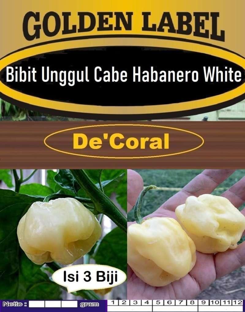 Habanero Tergacor: Keunggulan dan Cara Menanam